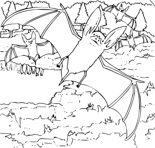 Scary Halloween coloring page