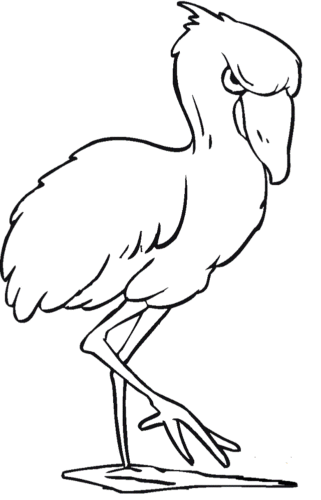 Young flamingo coloring page