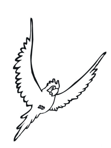 Parakeet coloring page