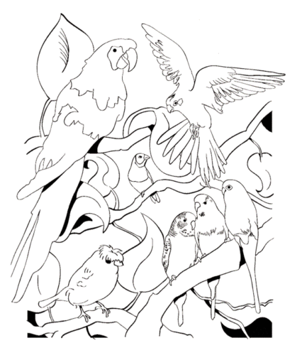 Parrot coloring pages printable