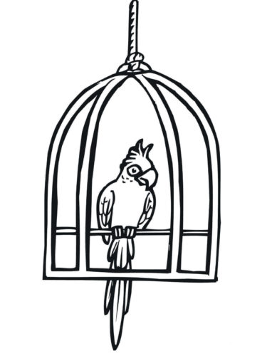 Parrot in a Cage