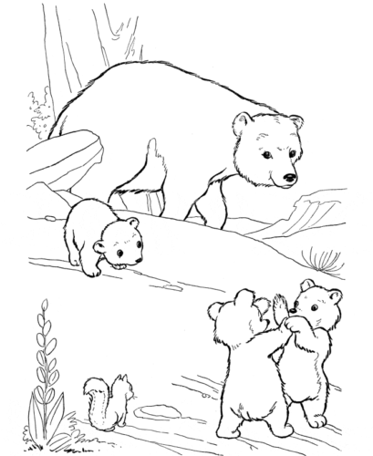A bear family