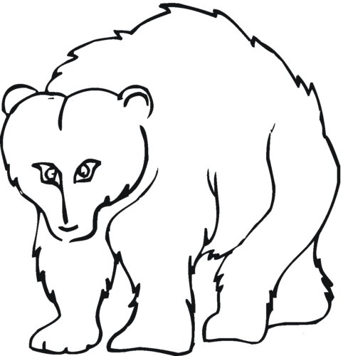 Black bear coloring pages