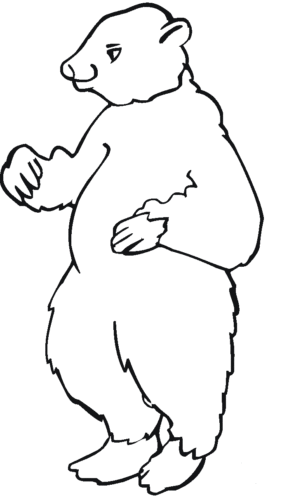Brown bear coloring page