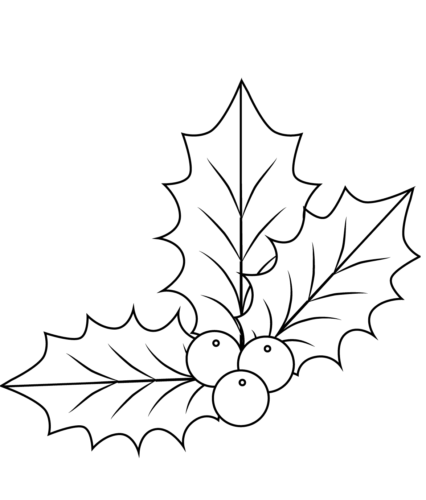 Holly leaves coloring page