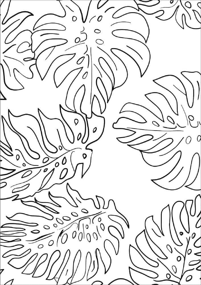 Monstera Leaves coloring page