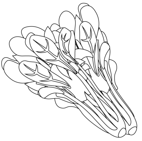 Spinach leaves coloring page