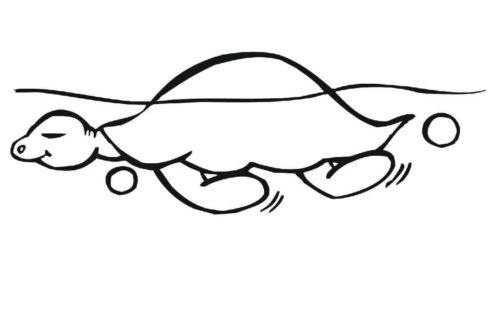 Calm turtle coloring page