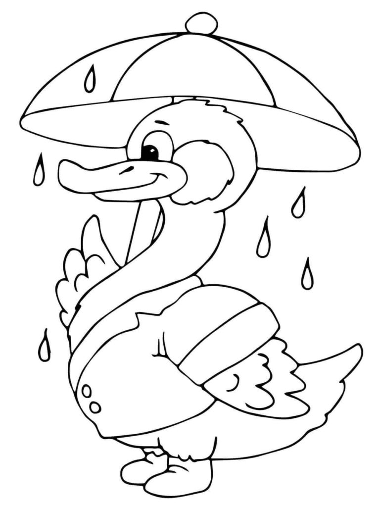 36 Free Duck Coloring Pages Printable