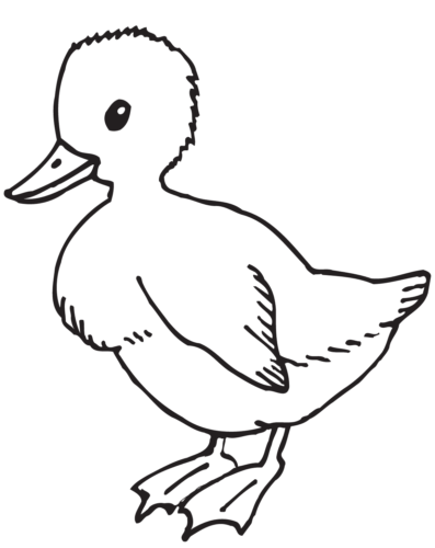 Duckling coloring page