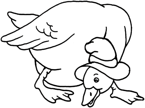Female duck coloring page