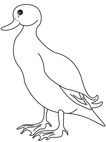 Free printable duck coloring pages