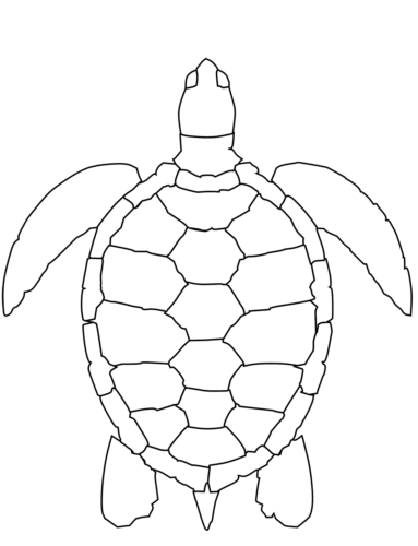 Swimming turtle coloring page