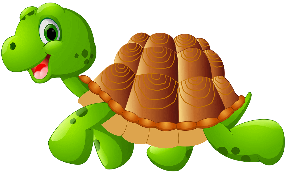 Turtle coloring